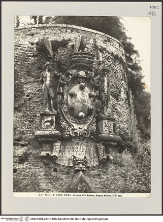 Vorderseite von Alinari [https://www.deutsche-digitale-bibliothek.de/content/lizenzen/rv-ez/] Medici-Wappen - , bh608004_recto. Foto.