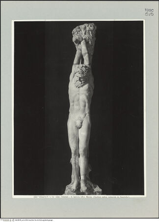 Vorderseite von Alinari [https://www.deutsche-digitale-bibliothek.de/content/lizenzen/rv-ez/] Marsyas - Gesamtansicht, bh608099_recto. Foto.