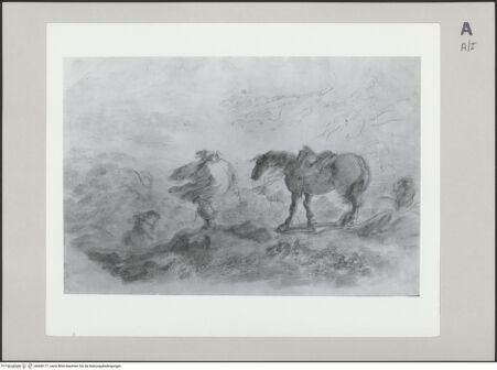 Vorderseite von Bibliotheca Hertziana [https://www.deutsche-digitale-bibliothek.de/content/lizenzen/rv-fz/] Reiter und Pferd in einem Sturm - , bh608177_recto. Foto.