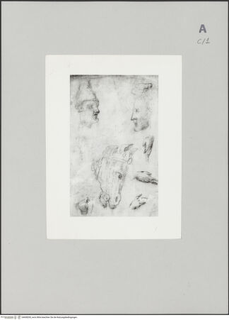 Vorderseite von Bibliotheca Hertziana [https://www.deutsche-digitale-bibliothek.de/content/lizenzen/rv-fz/] Skizze von Köpfen, Händen und einem Pferdekopf - , bh608200_recto. Foto.