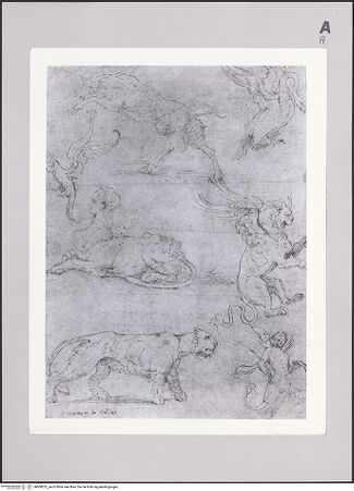 Vorderseite von Metropolitan Museum of Art [https://www.deutsche-digitale-bibliothek.de/content/lizenzen/rv-ez/] Entwürfe für eine Wanddekoration mit dem heiligen HieronymusDiverse Fabelwesen - , bh608222_recto. Foto.