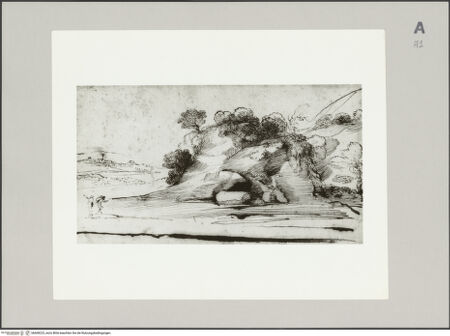 Vorderseite von Bibliotheca Hertziana [https://www.deutsche-digitale-bibliothek.de/content/lizenzen/rv-fz/] Landschaft mit Bäumen auf einem Felsen - , bh608223_recto. Foto.