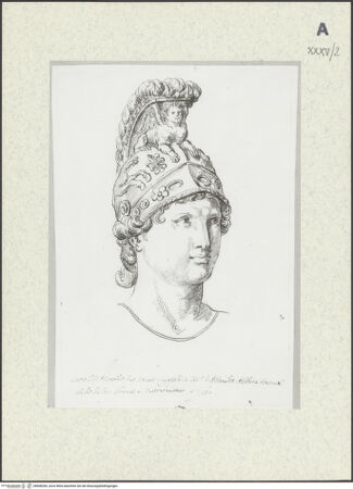 Vorderseite von bh608283_recto