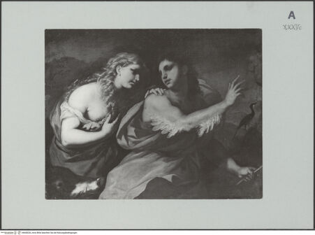 Vorderseite von Herzog Anton Ulrich-Museum [https://www.deutsche-digitale-bibliothek.de/content/lizenzen/rv-fz/] Circe und Picus - , bh608326_recto. Foto.