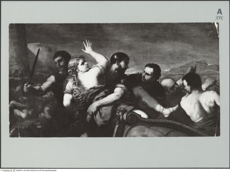 Vorderseite von Musée des Beaux-Arts de Caen [https://www.deutsche-digitale-bibliothek.de/content/lizenzen/rv-ez/] Der Raub der Helena - , bh608331_recto. Foto.