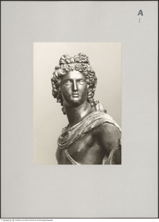 Vorderseite von Liebieghaus [https://www.deutsche-digitale-bibliothek.de/content/lizenzen/rv-ez/] Apoll vom Belvedere - Detail des Brustbildes, Kopf frontal, bh608422_recto. Foto: Edelmann, Ursula.