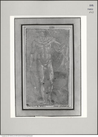 Vorderseite von Réunion des Musées Nationaux [https://www.deutsche-digitale-bibliothek.de/content/lizenzen/rv-ez/] Apoll vom Belvedere - , bh608425_recto. Foto.