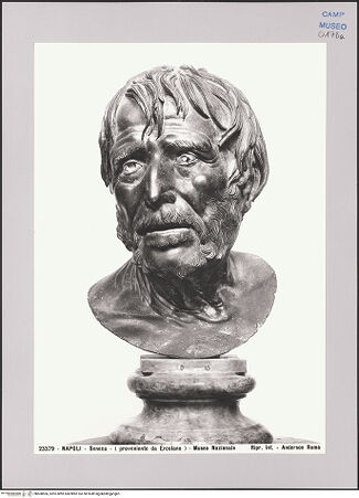 Vorderseite von Alinari [https://www.deutsche-digitale-bibliothek.de/content/lizenzen/rv-ez/] Portraitkopf eines bärtigen Mannes, sog. Pseudo-Seneca - , bh608506_recto. Foto.