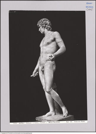 Vorderseite von Alinari [https://www.deutsche-digitale-bibliothek.de/content/lizenzen/rv-ez/] Antinoos - , bh608545_recto. Foto.