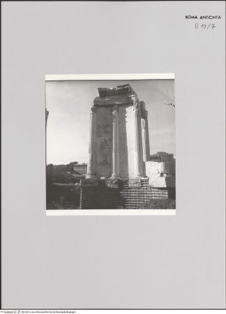 Vorderseite von Bibliotheca Hertziana [https://www.deutsche-digitale-bibliothek.de/content/lizenzen/rv-fz/] Tempio di Vesta in Foro Romano - Säulen der Tempelfront, Blick von der Innenseite / von Südwesten, bh610072_recto. Foto: Zander, Giuseppe?.