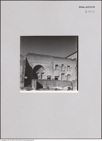 Vorderseite von Bibliotheca Hertziana [https://www.deutsche-digitale-bibliothek.de/content/lizenzen/rv-fz/] PalatinDomus Augusti - Domus Augustana, Ausschnitt (?), bh610085_recto. Foto: Zander, Giuseppe?.