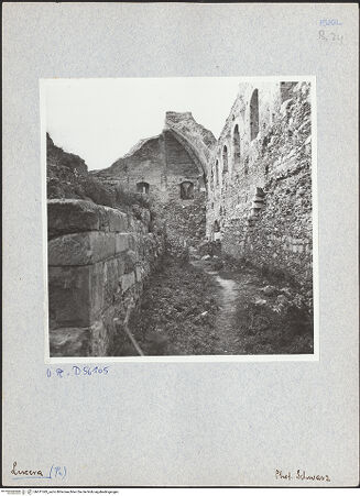 Vorderseite von Bibliotheca Hertziana [https://www.deutsche-digitale-bibliothek.de/content/lizenzen/rv-fz/] Fortezza AngioinaPalast Friedrichs II. - Gewölbe der Nordecke von Südosten, bh611343_recto. Foto: Schwarz, Heinrich Mathias.