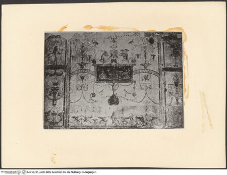 Vorderseite von bh753231_recto