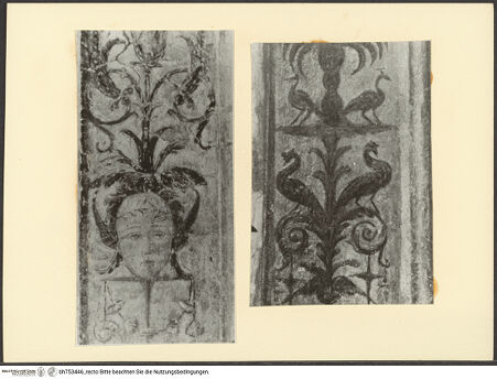 Vorderseite von bh753446_recto