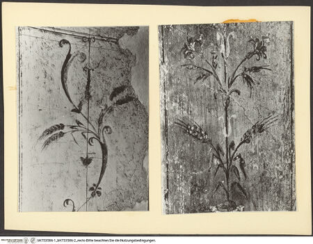 Vorderseite von bh753586-1_bh753586-2_recto