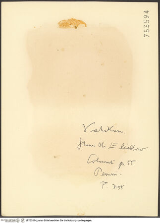 Rückseite von bh753594_recto