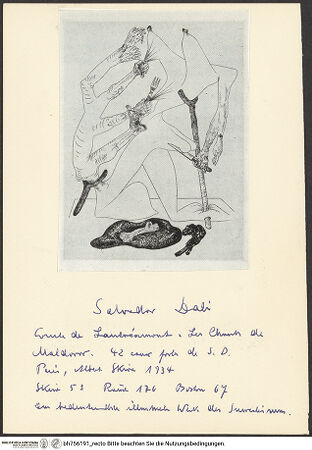 Vorderseite von bh756191_recto