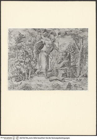 Vorderseite von bh756196_recto