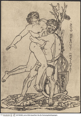 Vorderseite von bh756562_recto