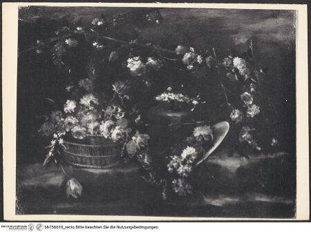 Vorderseite von bh756610_recto