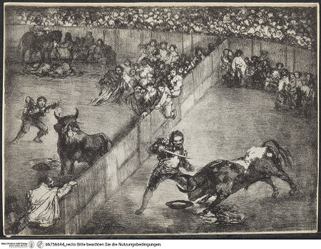 Vorderseite von bh756644_recto