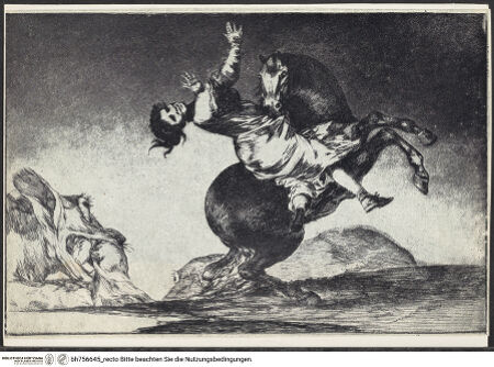 Vorderseite von bh756645_recto