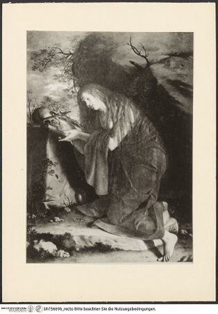 Vorderseite von bh756696_recto