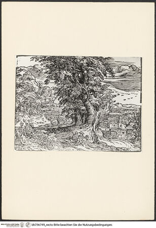 Vorderseite von bh756749_recto