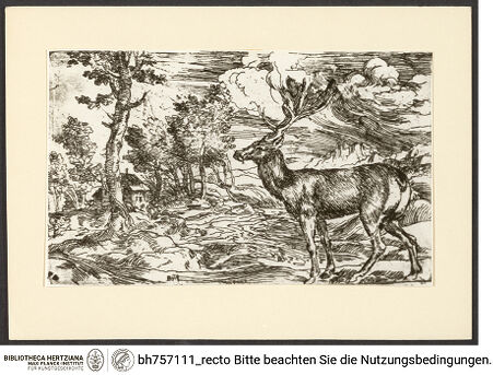 Vorderseite von bh757111_recto