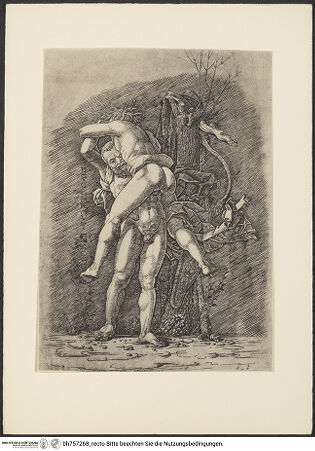 Vorderseite von bh757268_recto