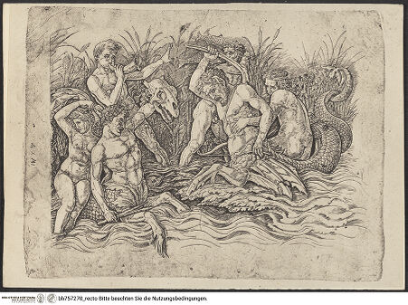 Vorderseite von bh757270_recto