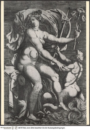 Vorderseite von bh757563_recto