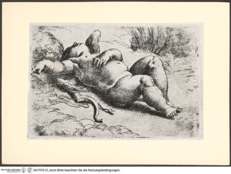 Vorderseite von bh757612_recto