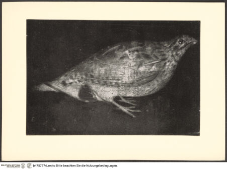 Vorderseite von bh757674_recto