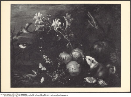 Vorderseite von bh757696_recto