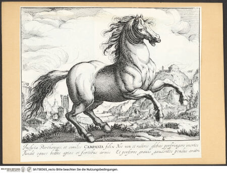 Vorderseite von bh758365_recto