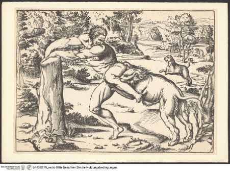 Vorderseite von bh758379_recto