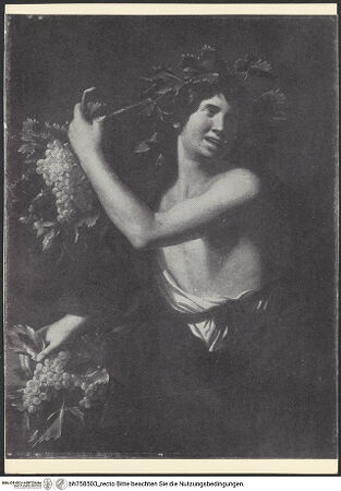 Vorderseite von bh758503_recto