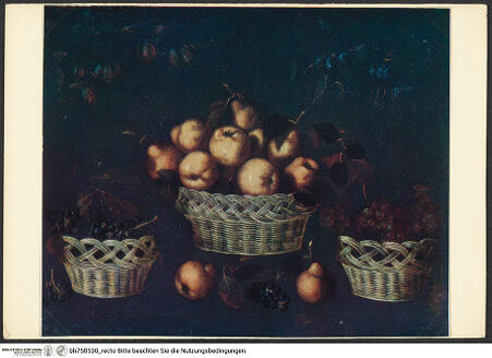 Vorderseite von bh758530_recto