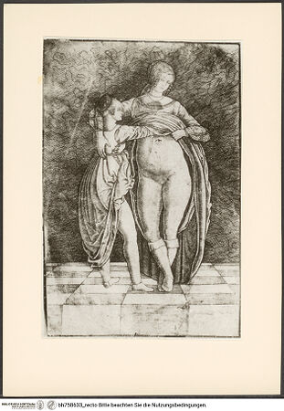 Vorderseite von bh758633_recto