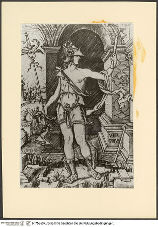 Vorderseite von bh758637_recto