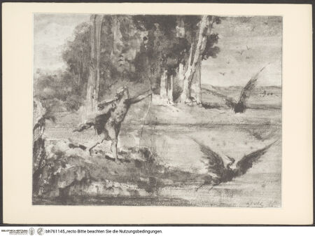 Vorderseite von bh761145_recto