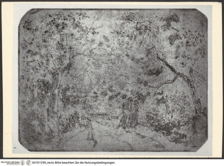 Vorderseite von bh761299_recto