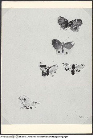 Vorderseite von bh761407_recto