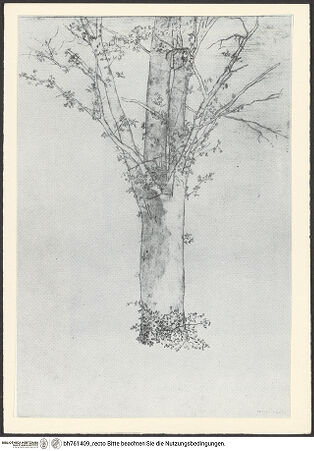 Vorderseite von bh761409_recto