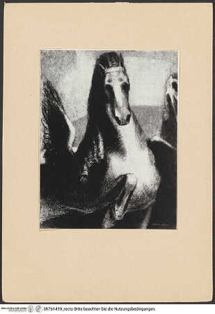 Vorderseite von bh761419_recto