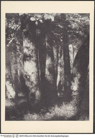 Vorderseite von bh761448_recto