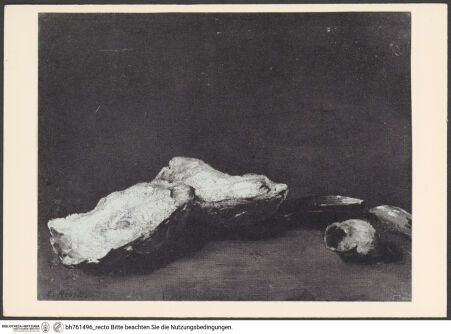 Vorderseite von bh761496_recto