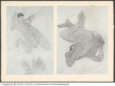 Vorderseite von bh761537-1_bh761537-2_recto