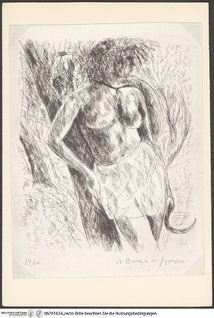 Vorderseite von bh761634_recto